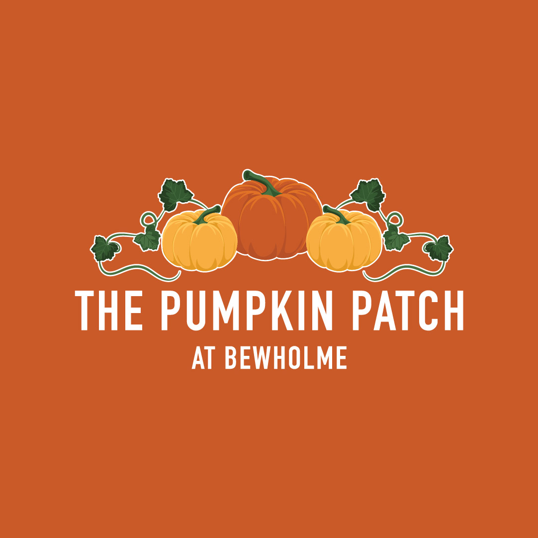 The Pumpkin Patch Branding