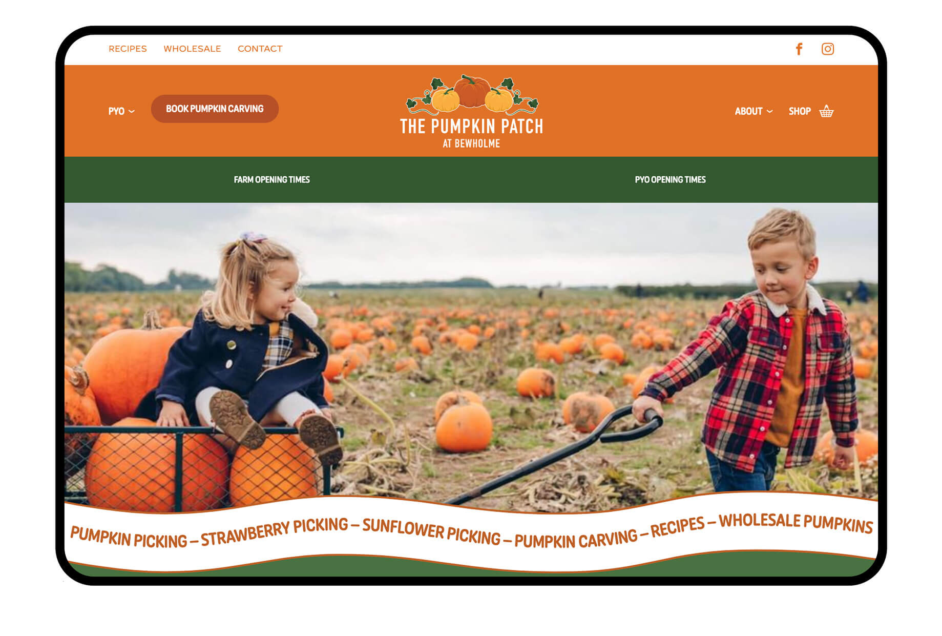 Pumpkin Patch web new